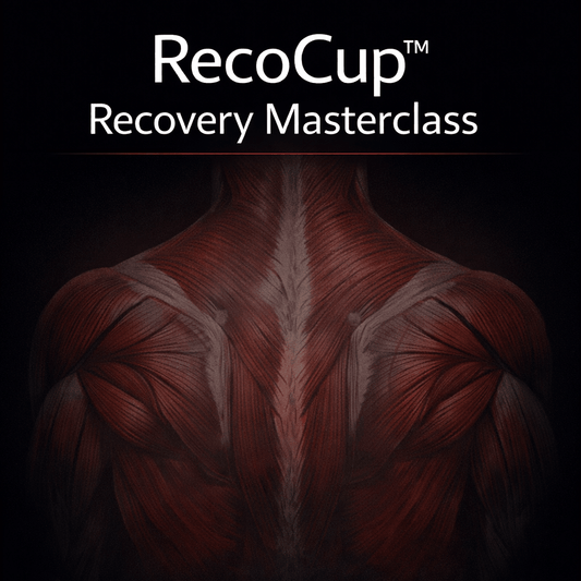 E - Book - Recovac
